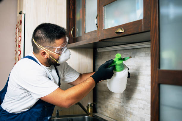 Best Pest Inspection Near Me  in Vandenberg Af, CA