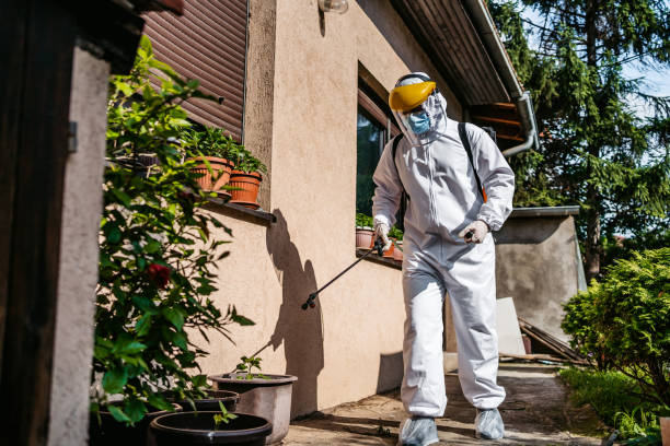 Best Exterminator Services  in Vandenberg Af, CA