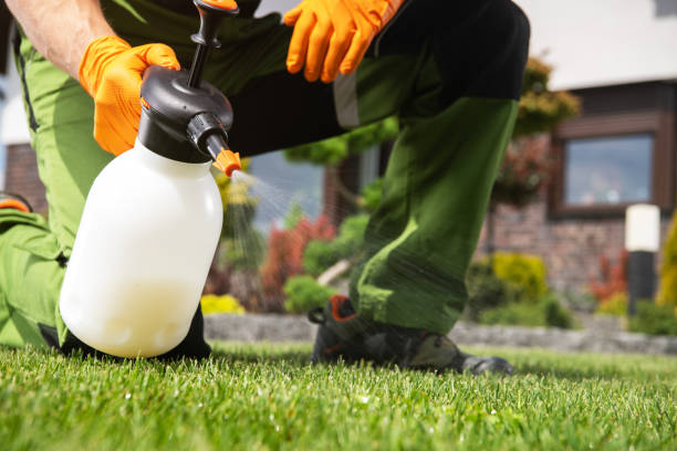 Pest Control for Restaurants in Vandenberg Af, CA