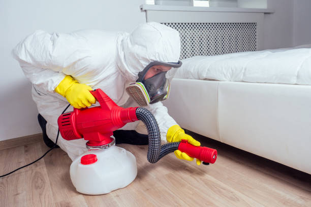 Best Local Pest Control Services  in Vandenberg Af, CA