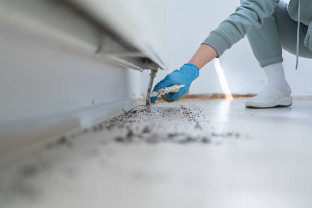 Best Bed Bug Extermination  in Vandenberg Af, CA
